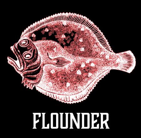 Flounder